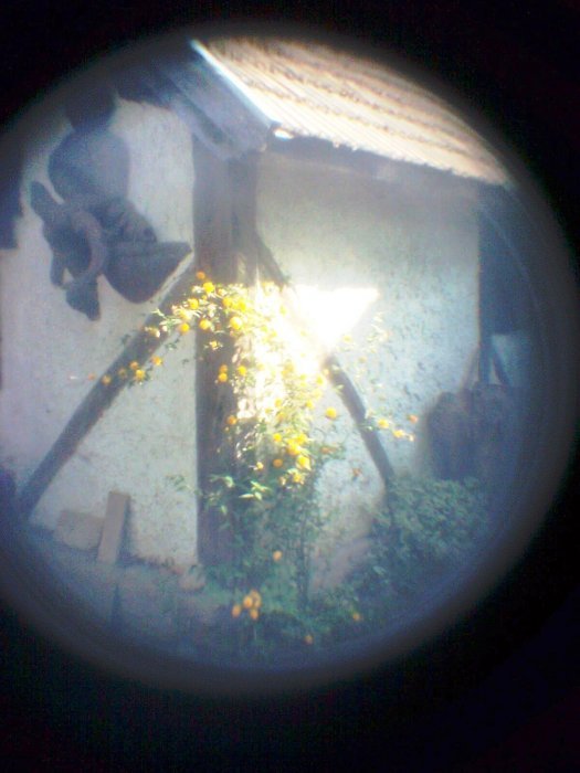 pinhole photograph