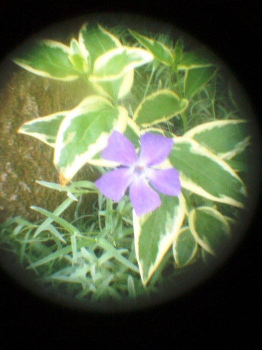 pinhole photograph