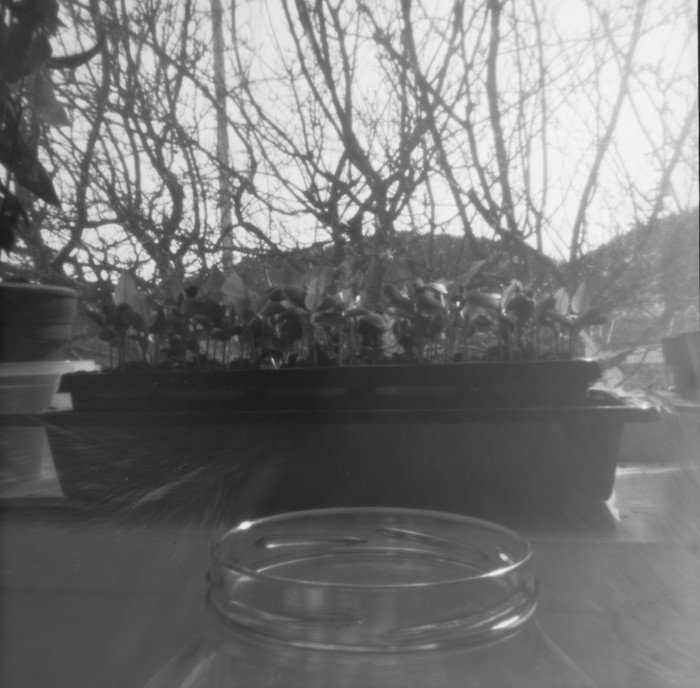 pinhole photograph