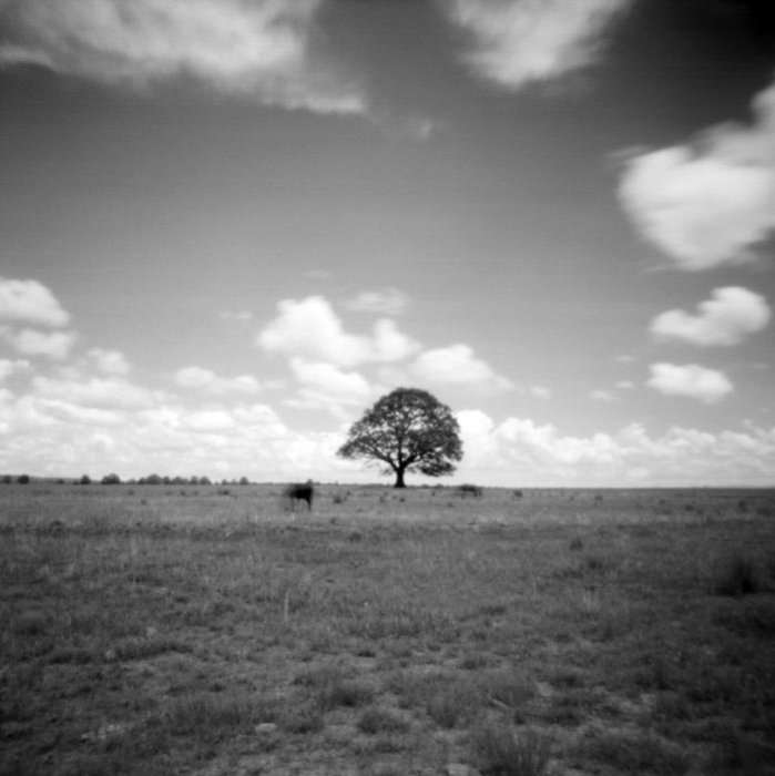 pinhole photograph