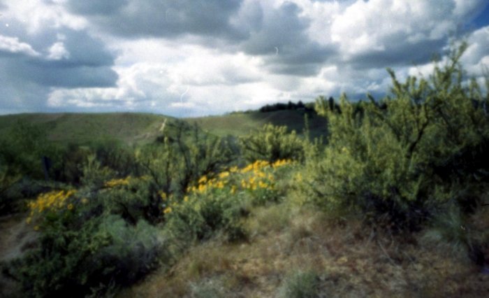 pinhole photograph