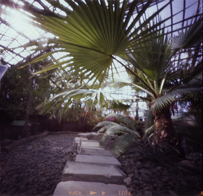 pinhole photograph