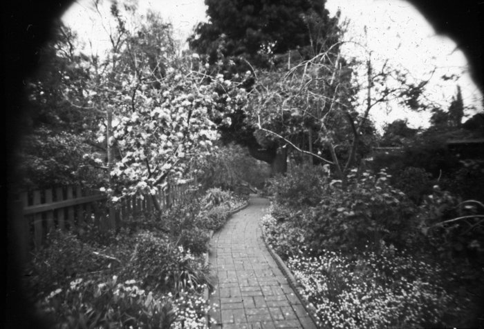 pinhole photograph