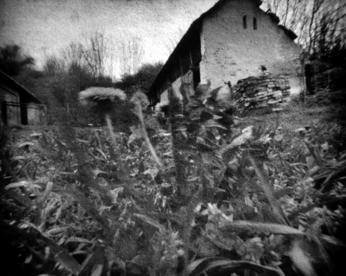 pinhole photograph