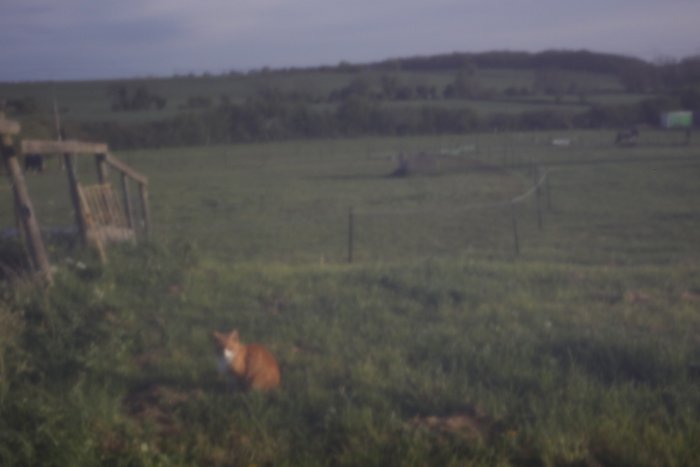 pinhole photograph