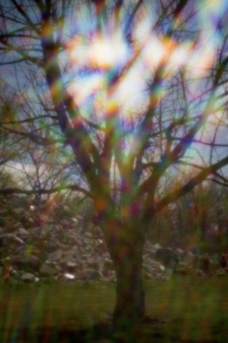 pinhole photograph