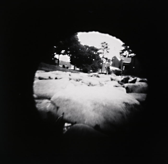 pinhole photograph