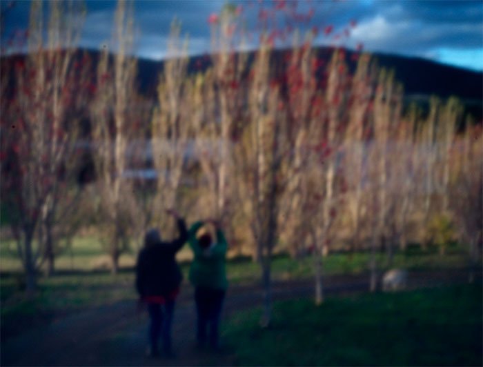 pinhole photograph