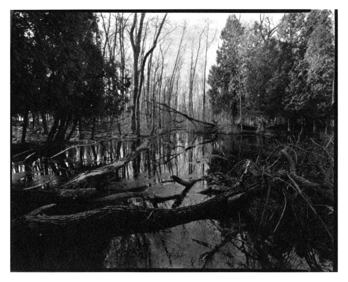 pinhole photograph