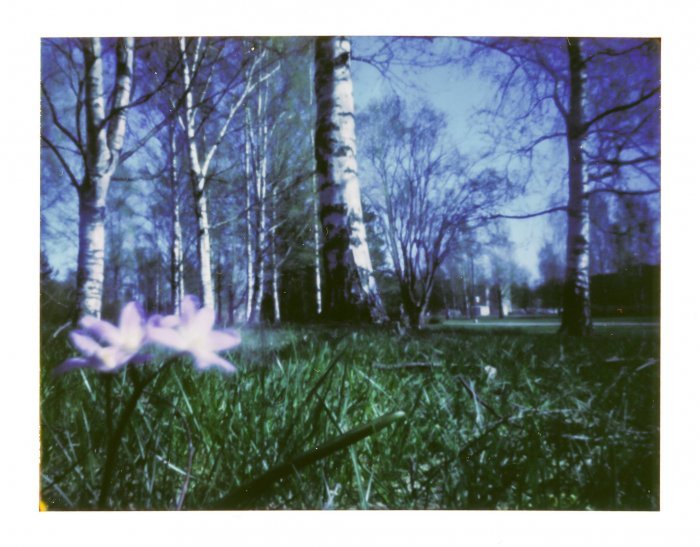 pinhole photograph