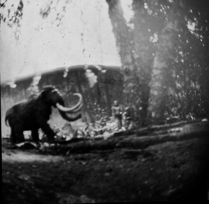 pinhole photograph