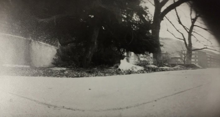 pinhole photograph