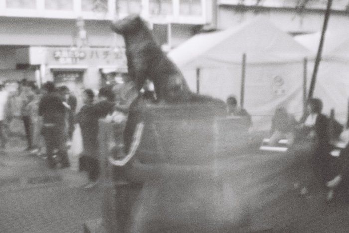 pinhole photograph