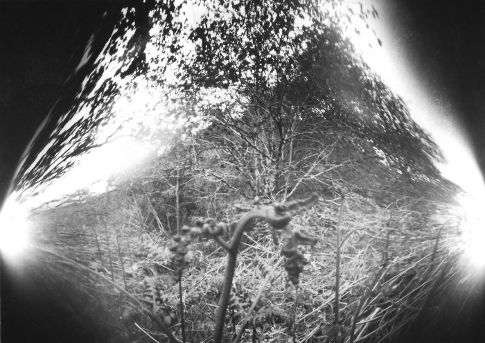 pinhole photograph