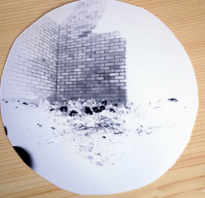 pinhole photograph