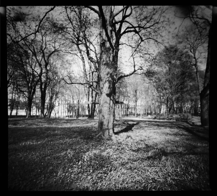 pinhole photograph