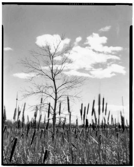 pinhole photograph