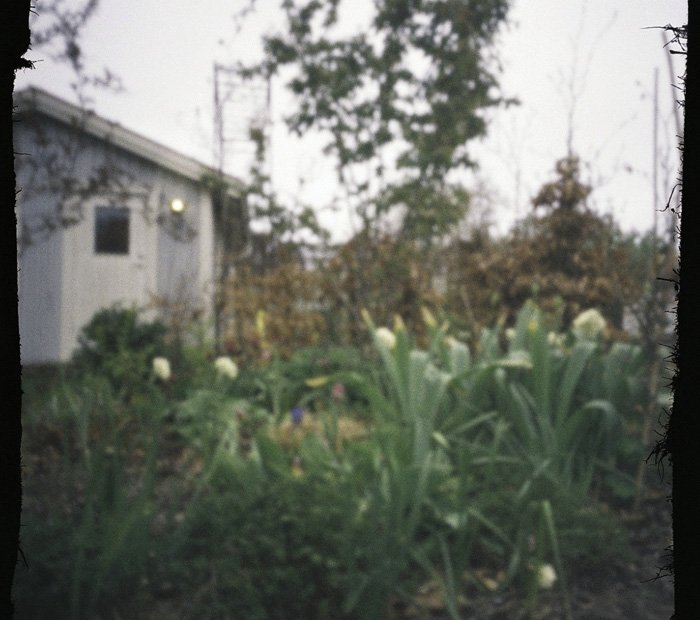 pinhole photograph