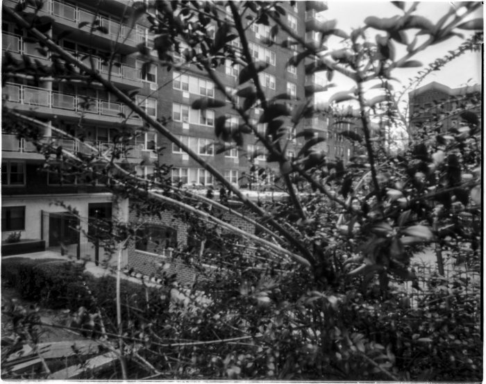 pinhole photograph