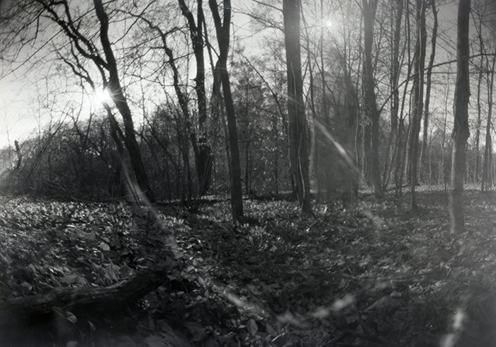 pinhole photograph