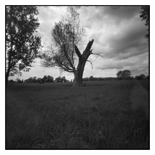 pinhole photograph