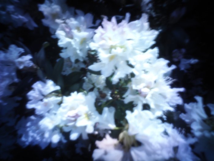 pinhole photograph