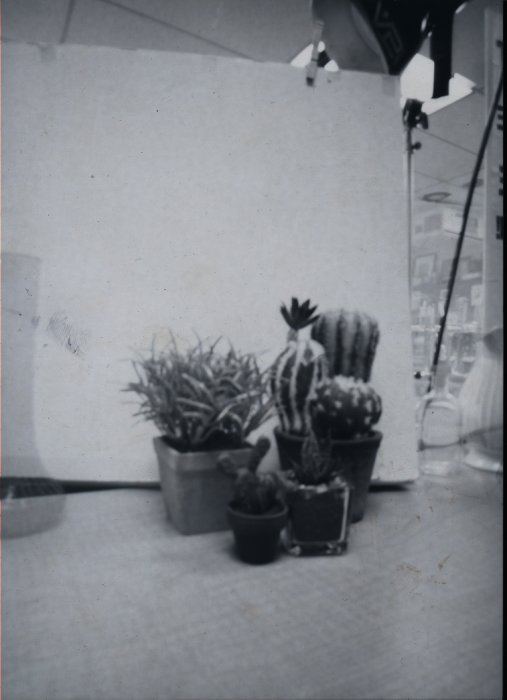 pinhole photograph