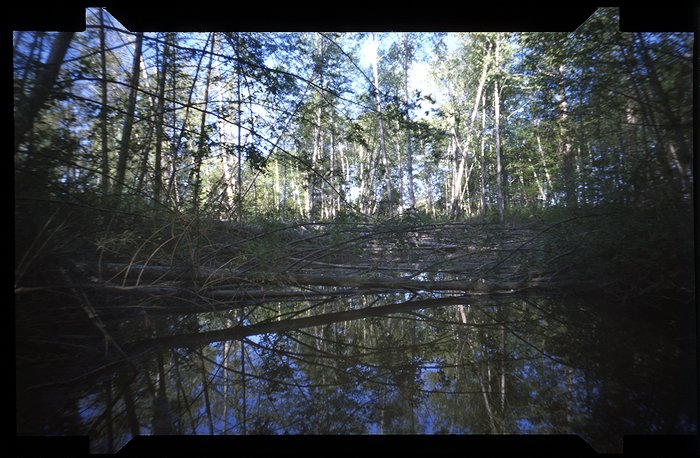 pinhole photograph