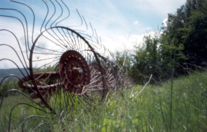 pinhole photograph