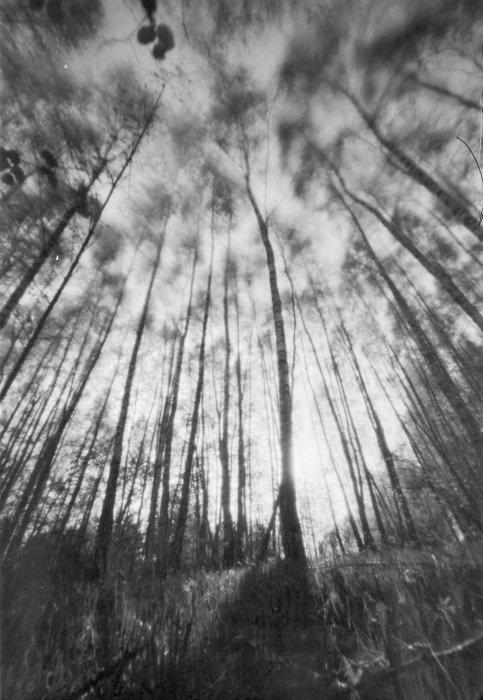 pinhole photograph