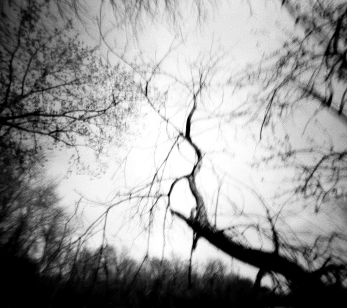 pinhole photograph