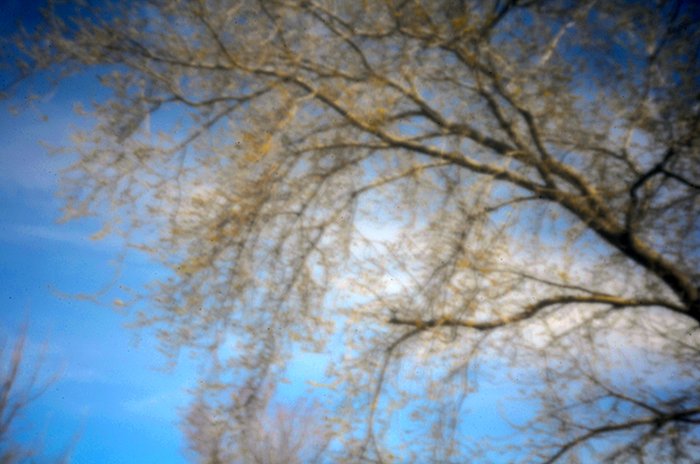 pinhole photograph