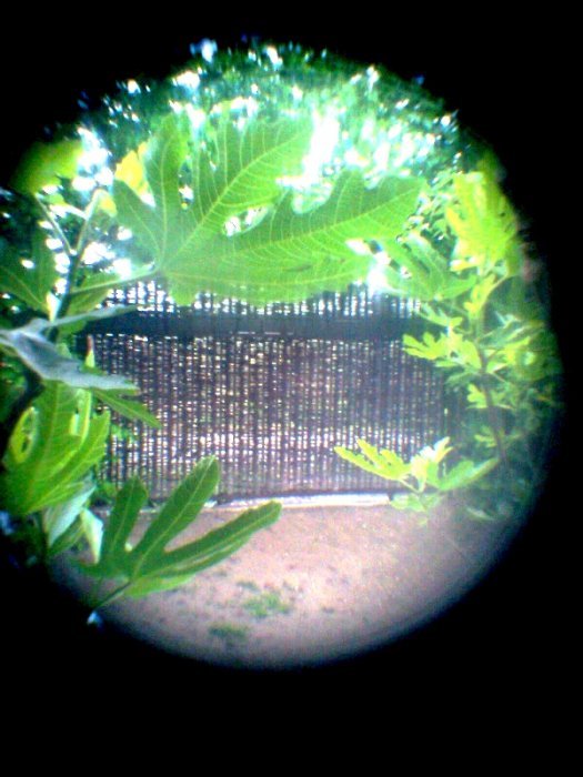 pinhole photograph