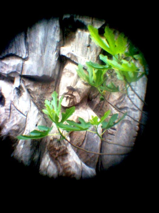 pinhole photograph