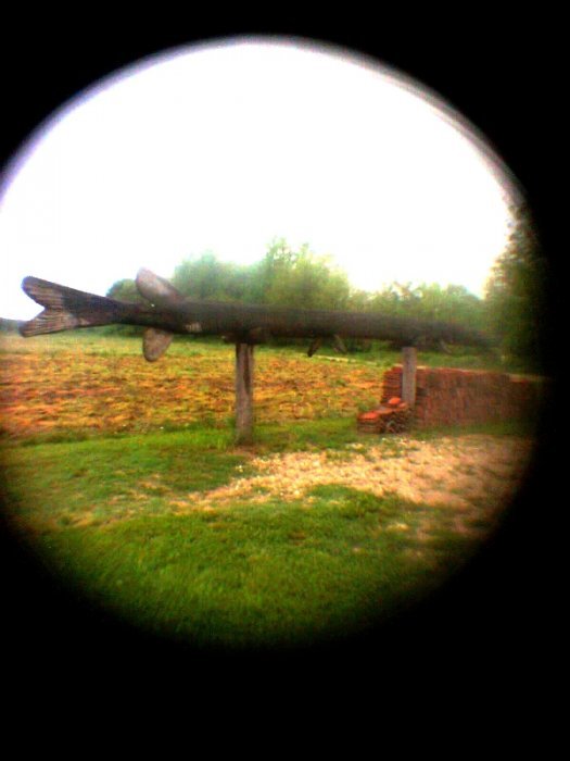 pinhole photograph