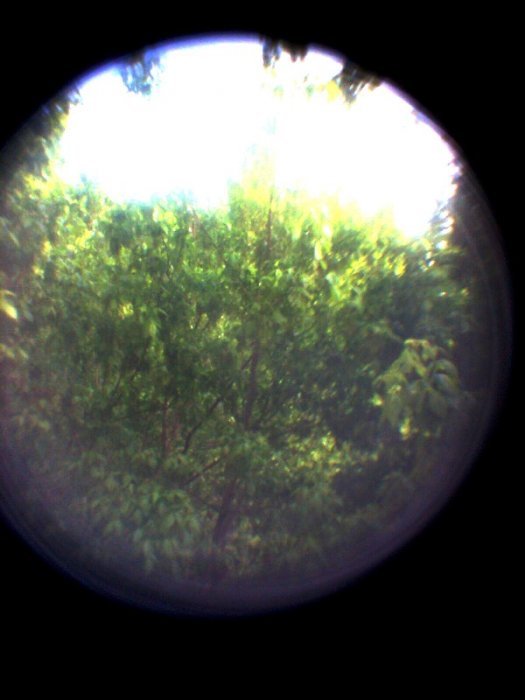 pinhole photograph