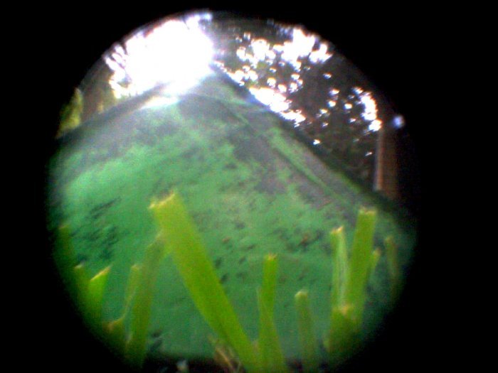 pinhole photograph