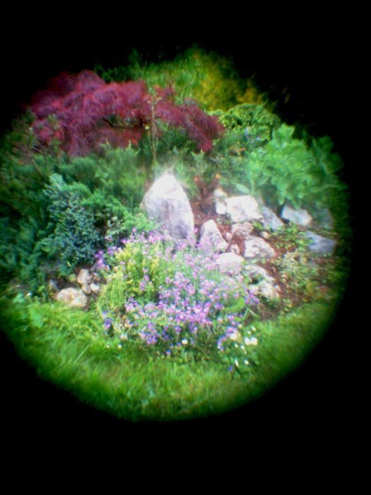 pinhole photograph