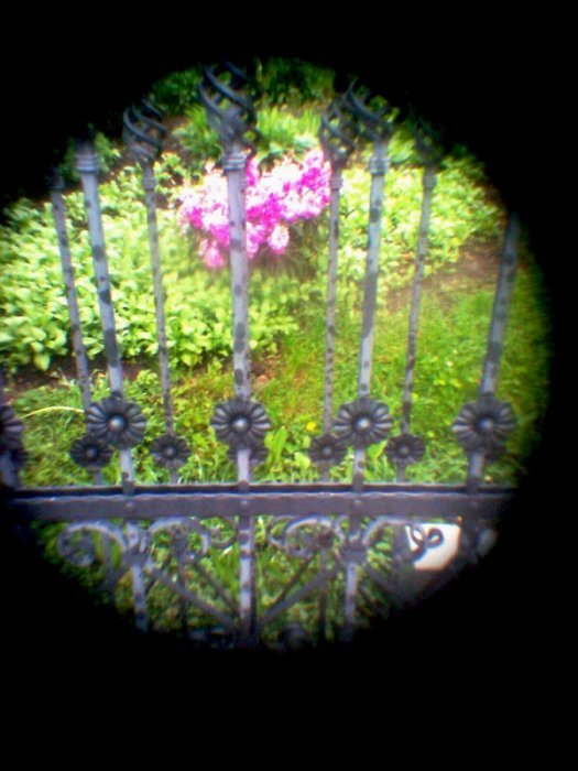 pinhole photograph