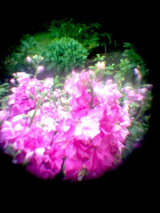 pinhole photograph