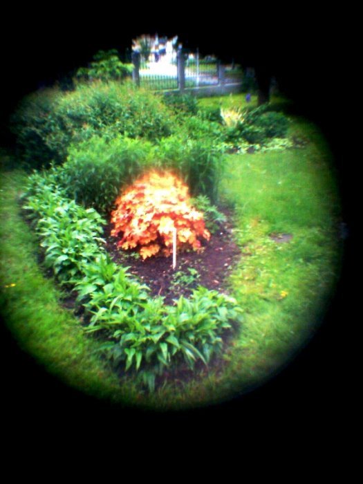pinhole photograph