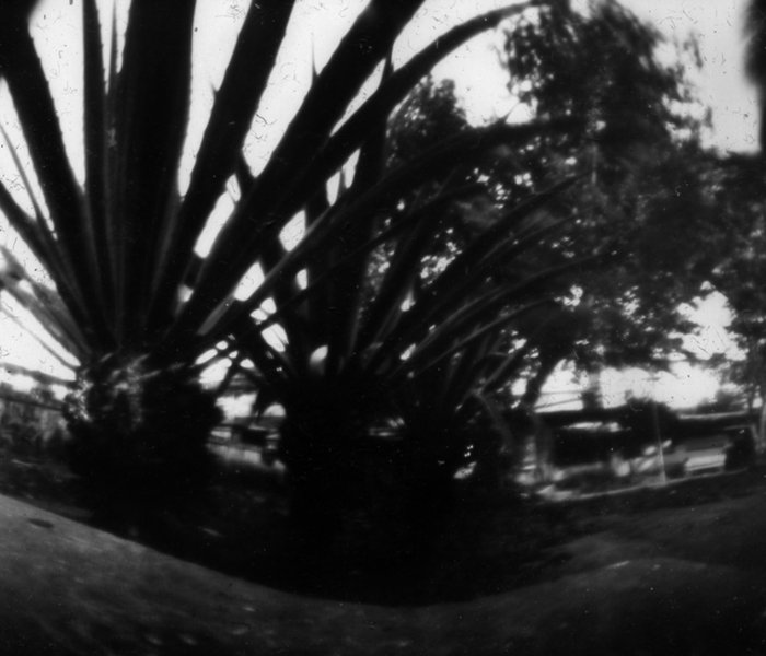 pinhole photograph