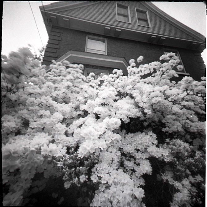 pinhole photograph