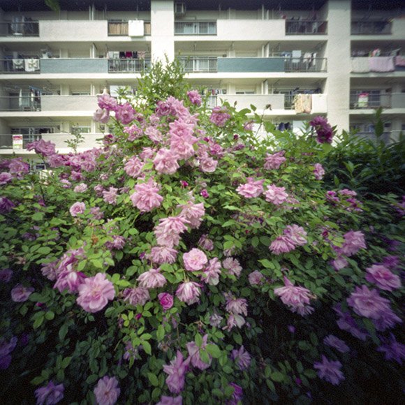 pinhole photograph