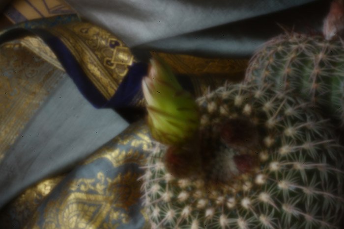 pinhole photograph