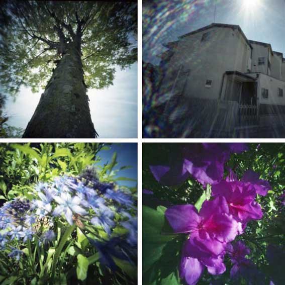 pinhole photograph