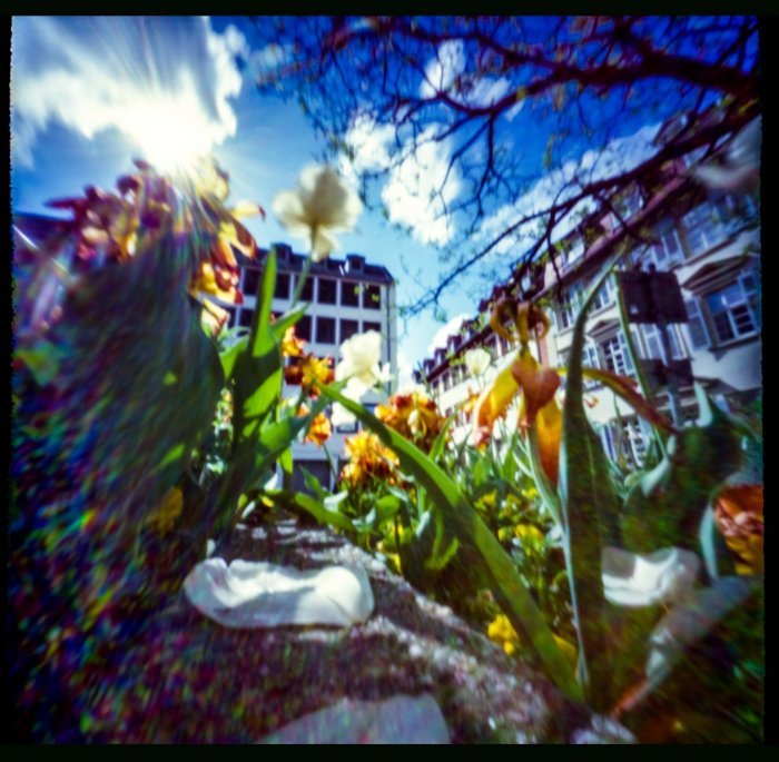 pinhole photograph