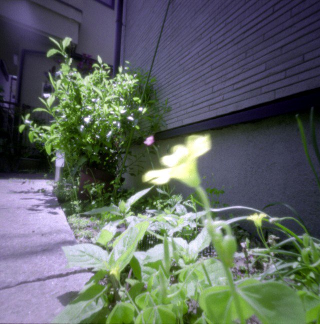pinhole photograph