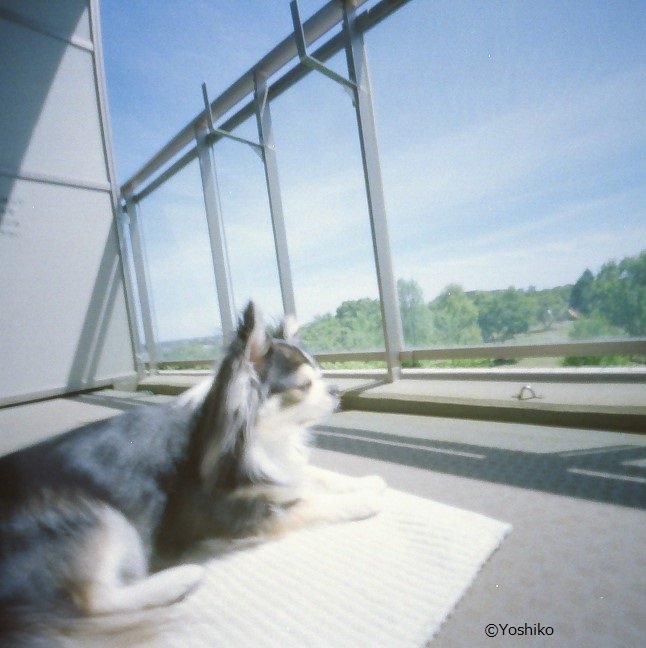 pinhole photograph