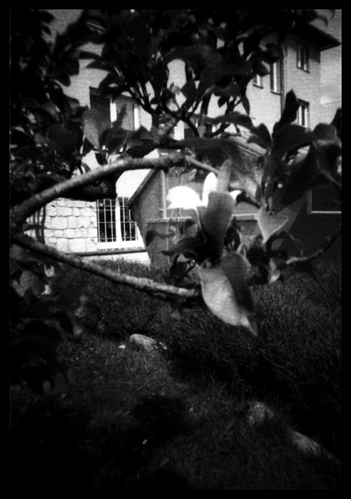 pinhole photograph